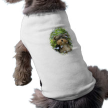 York Terrier Dog Shirt