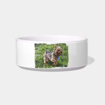 York Terrier Pet Bowl