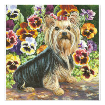 Yorkie and Pansy Garden Card Invitation