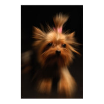 Yorkie... at High Speed posters