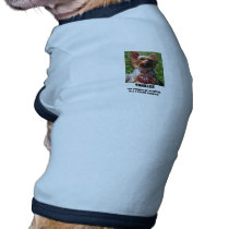 Yorkie Attitude Doggie Shirt pet clothing by FlosMercantile Yorkie Attitude Doggie Shirt pet clothing