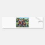 Yorkie best buds Lucy and Milly Bumper Sticker