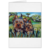 Yorkie best buds Lucy and Milly Card
