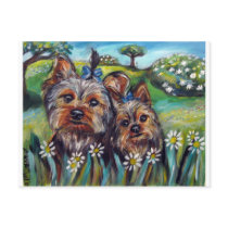 Yorkie best buds Lucy and Milly Postcards