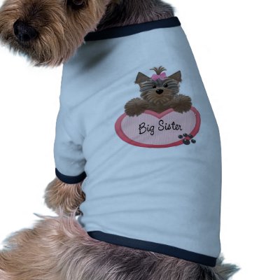 Yorkie Puppy Clothes