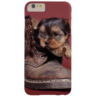what of yorkies are there yorkie iiphone 6 6s cases covers zazzle what of yorkies are there yorkie iiphone 6 6s cases covers zazzle