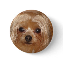 Yorkie Botton buttons by amyprisci Yorkie Botton buttons