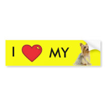 Yorkie Bumper Sticker bumper stickers