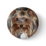 Yorkie Buttons