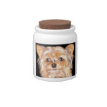 Yorkie Candy Jar candy jars