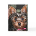 Yorkie  cards