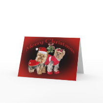 Yorkie Christmas & Mistletoe Cards
