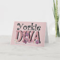 Yorkie DIVA Cards
