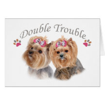 Yorkie Double Trouble Card