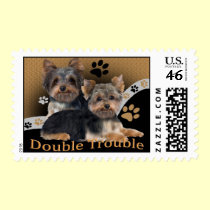 Yorkie Double Trouble Postage stamps