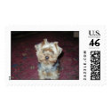 Yorkie Figaro postage