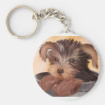 Yorkie in your Cup Keychain
