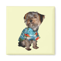 Yorkie Magnet by Reflekshins Yorkie Magnet