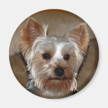 Yorkie Magnets
