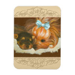 Yorkie Mama & Puppy