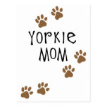 Yorkie Mom Postcard