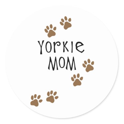 Yorkie Mom