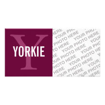 Yorkie Monogram Photo Cards