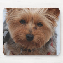 Yorkie  Mouse Pad