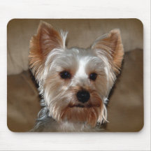 Yorkie Mouse Pads