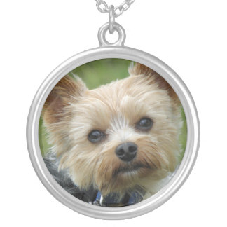 yorkie jewelry yorkie custom jewelry yorkie jewelry yorkie custom jewelry