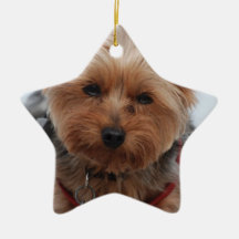 Yorkie  Ornament