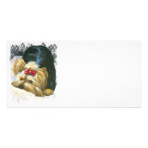 Yorkie Peek a Boo Photo Card Yorkshire Terrier photo cards