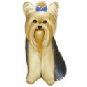 Yorkie Photo Sculpture photo sculptures by twopurringcats Yorkie Photo Sculpture photo sculptures