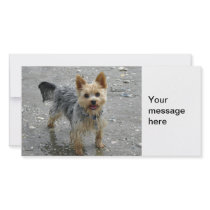 Yorkie Photo Card Template