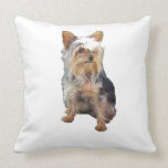 Yorkie Pillow pillows