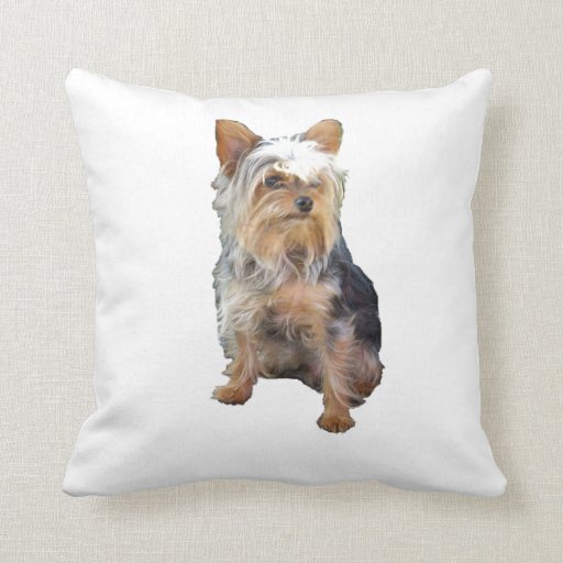 Yorkie Pillow Zazzle