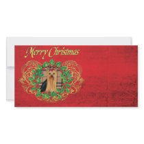 Yorkie Plaid n Holly Christmas Photo Cards photo cards