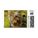 Yorkie postage postage