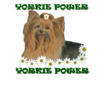 yorkie, yorkshire terrier, dogs, daisies, flowers,