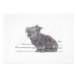Yorkie Pup Announcements