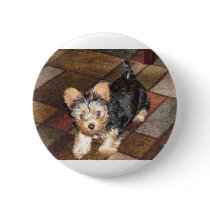 Yorkie Puppy Pinback Button