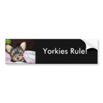 Yorkie Puppy Dog Lover Gifts Bumper Stickers