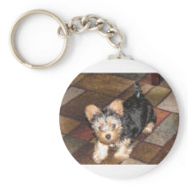 Yorkie Puppy Keychain