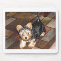 Yorkie Puppy Mousepads