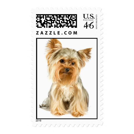Yorkie Puppy Postage Stamp
