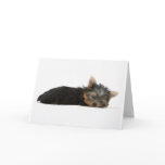 Yorkie Puppy Sleeping Greeting Card