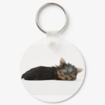 Yorkie Puppy Sleeping keychains by PawsandClaws Yorkie Puppy Sleeping keychains