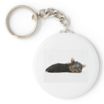 Yorkie Puppy Sleeping Keychain