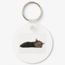 Yorkie Puppy Sleeping keychains by PawsandClaws Yorkie Puppy Sleeping keychains