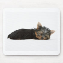 Yorkie Puppy Sleeping Use Pad